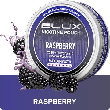 Elux Nicotine Pouches - Pack of 10 - Vape & Candy Wholesale