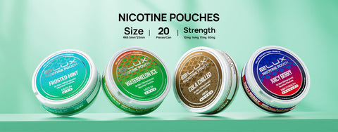 Elux Nicotine Pouches - Pack of 10 - Vape & Candy Wholesale