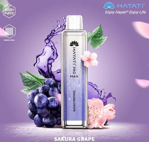 Hayati Pro Max 4000 Vape Kit (Pack of 10) - Vape & Candy Wholesale